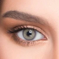 Le Reve Gray - Renkli Lens